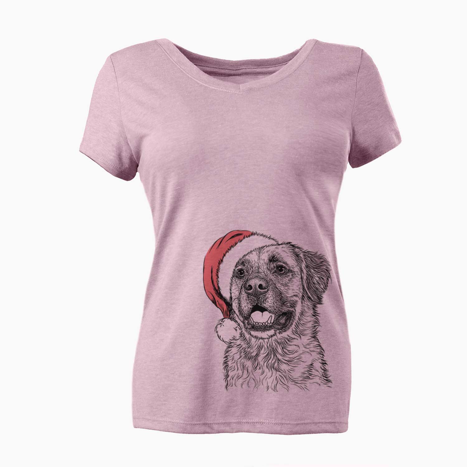 Santa Finn the Mixed Breed - Women's V-neck Shirt