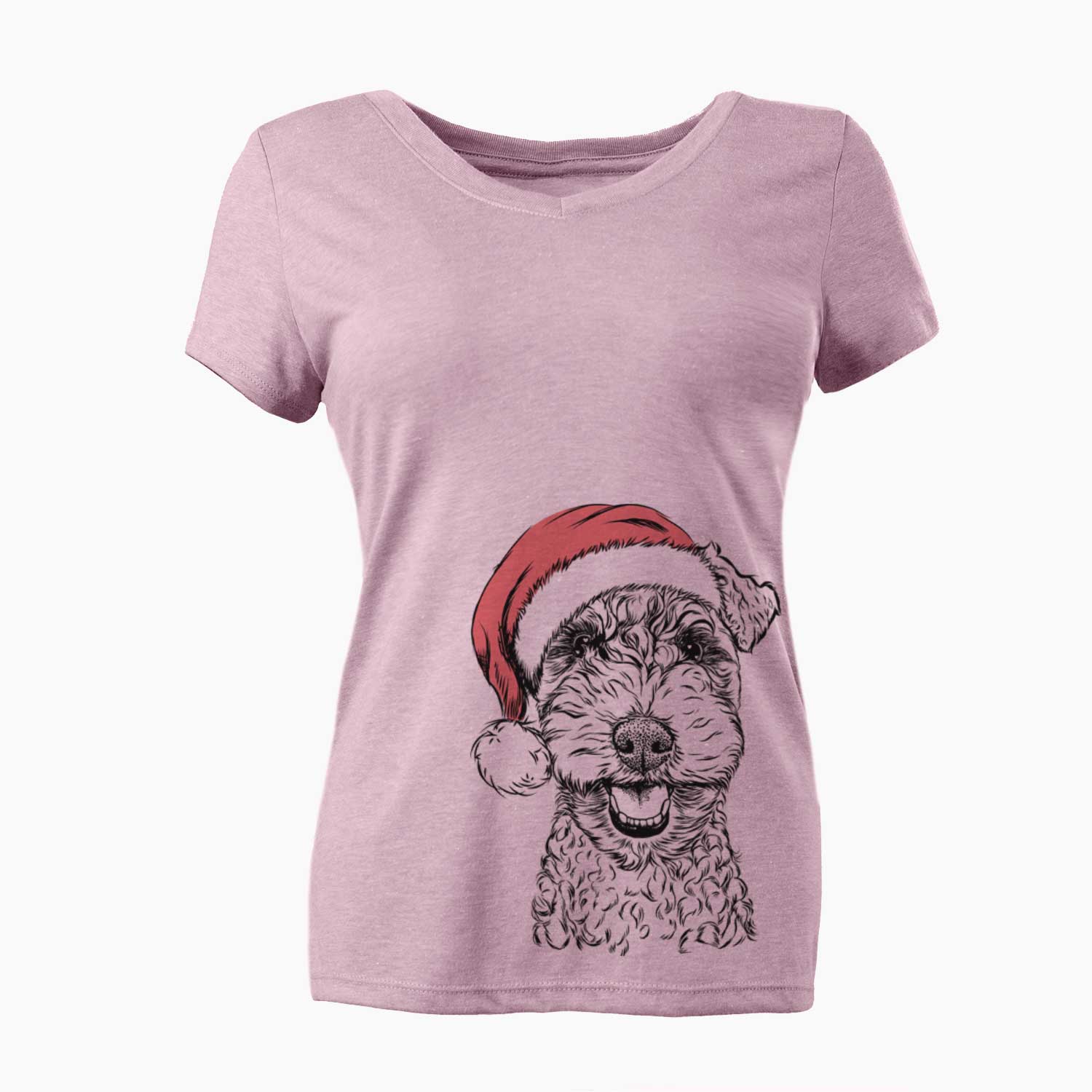 Santa Fintan the Irish Troodle - Women's V-neck Shirt