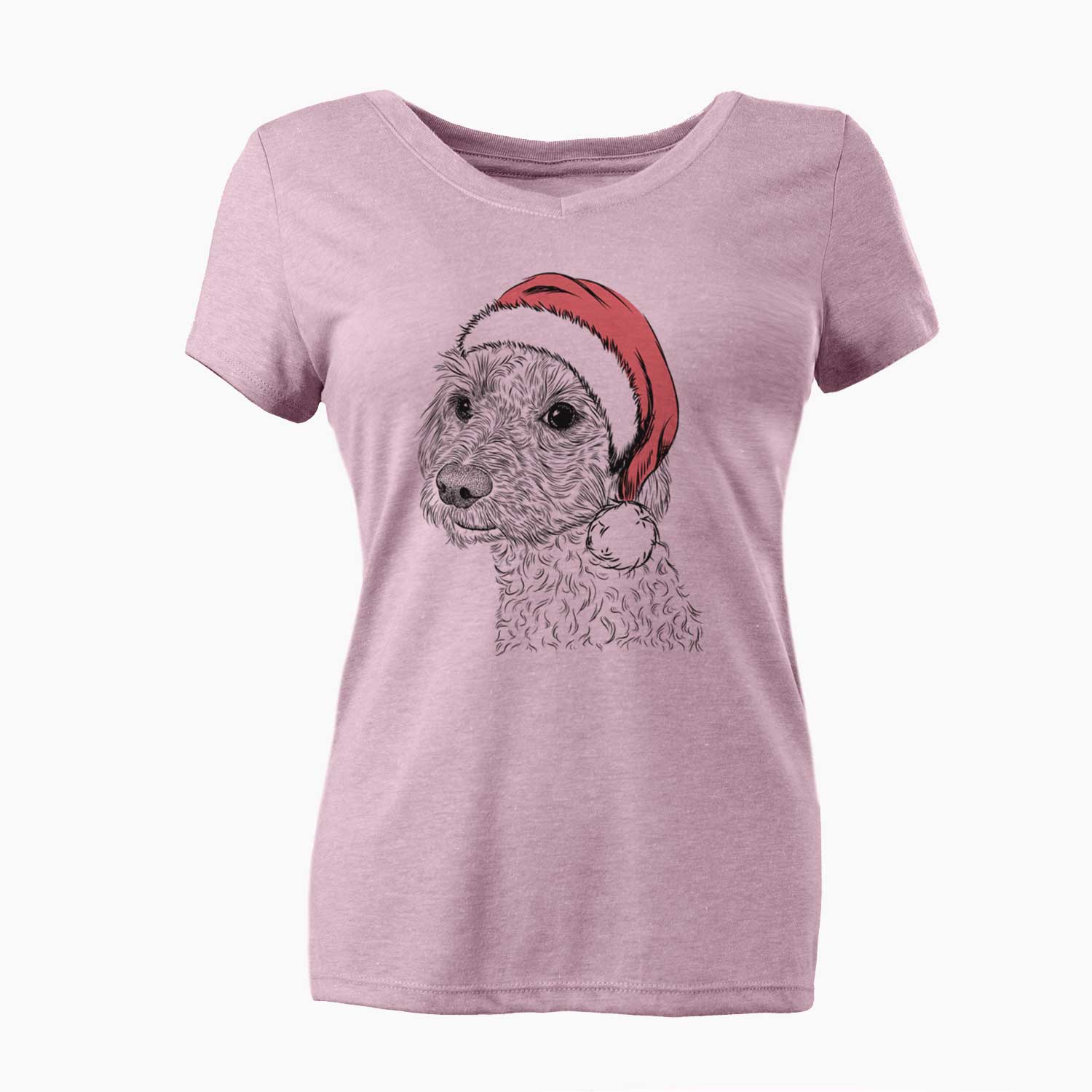 Santa Georgie Boy the Mixed Breed - Women's V-neck Shirt