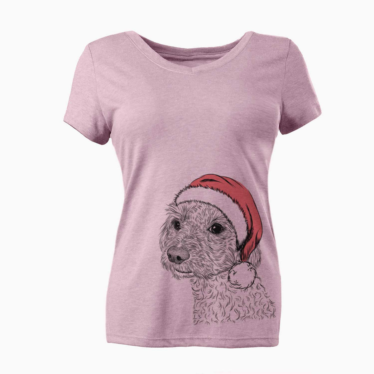 Santa Georgie Boy the Mixed Breed - Women's V-neck Shirt