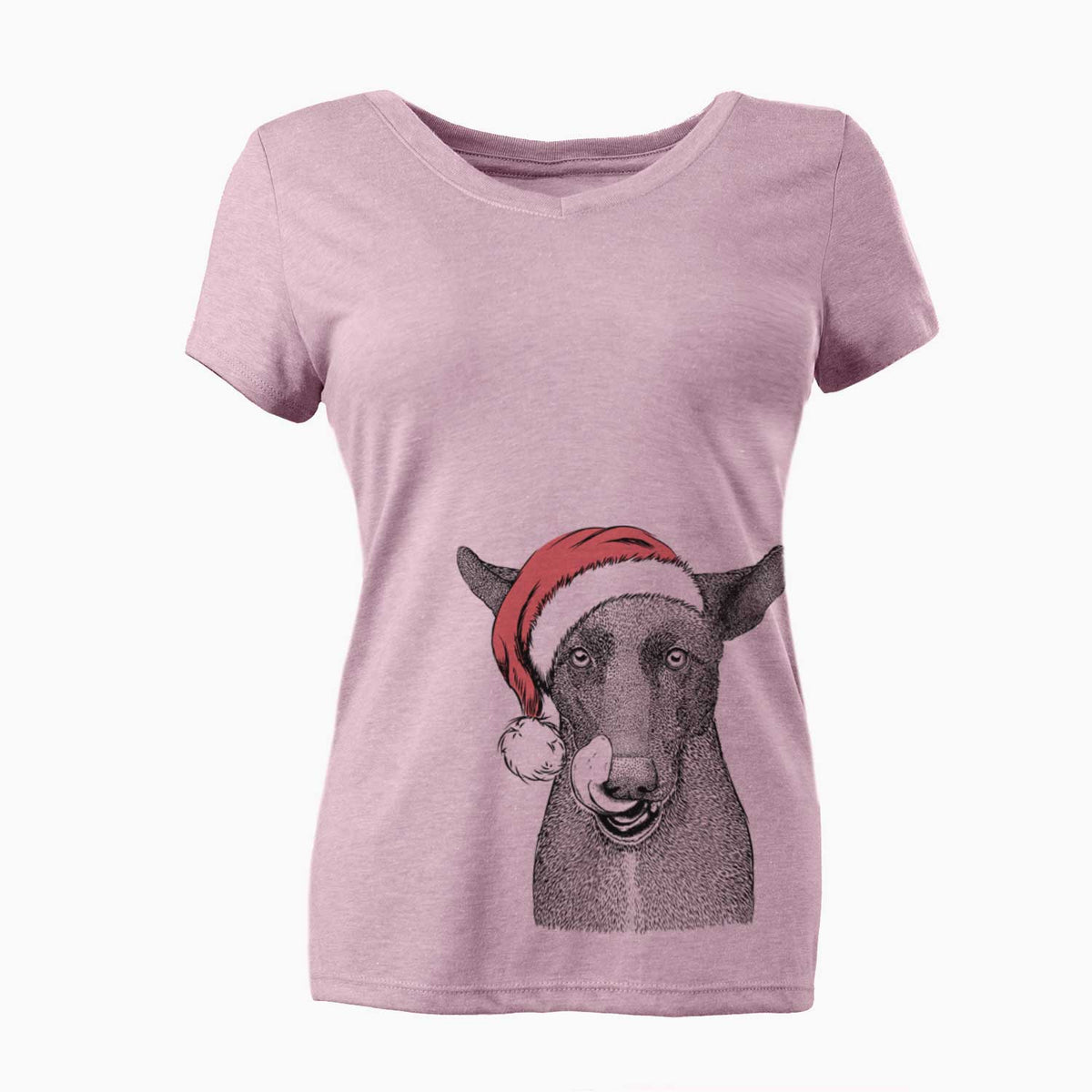 Santa Gidget the Mexican Street Dog - Women's V-neck Shirt