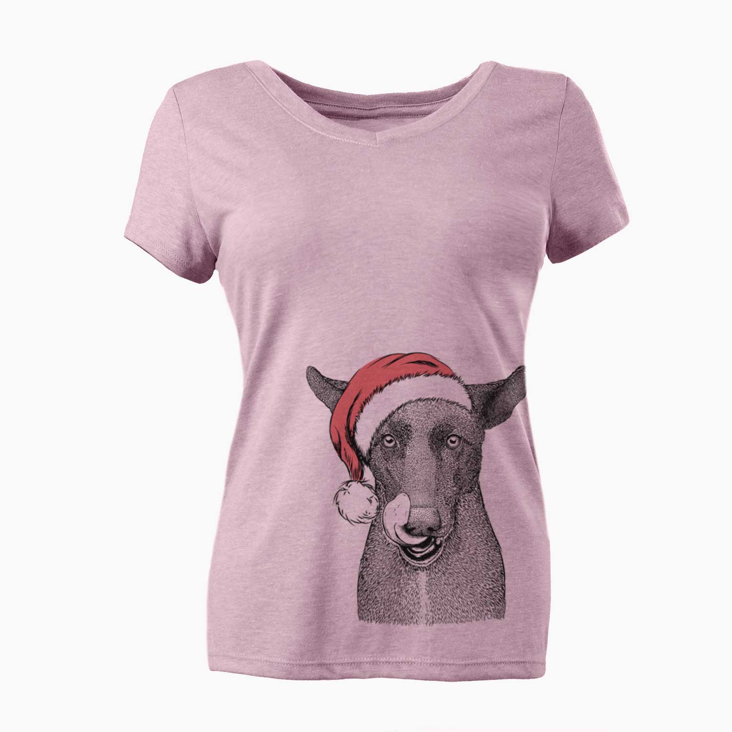 Santa Gidget the Mexican Street Dog - Women's V-neck Shirt