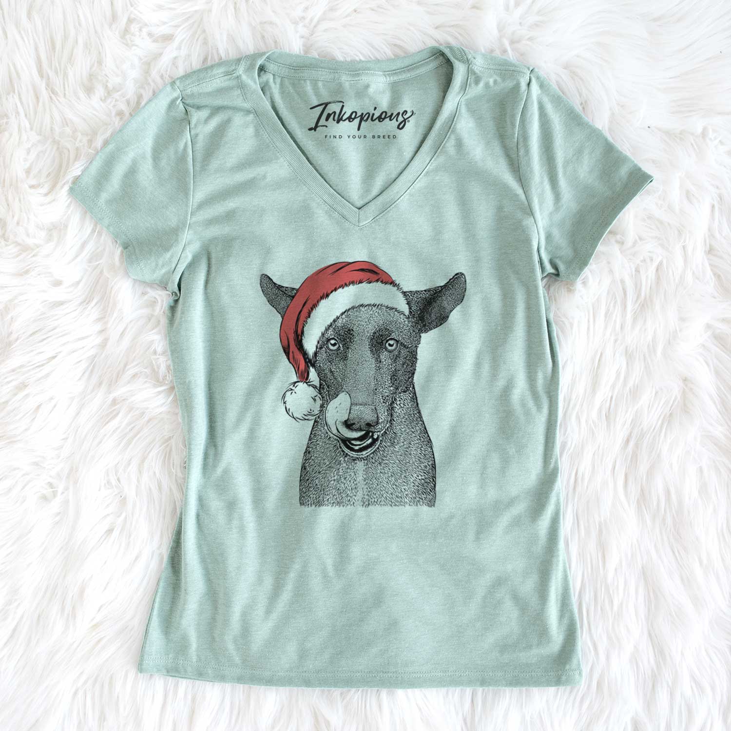 Santa Gidget the Mexican Street Dog - Women's V-neck Shirt