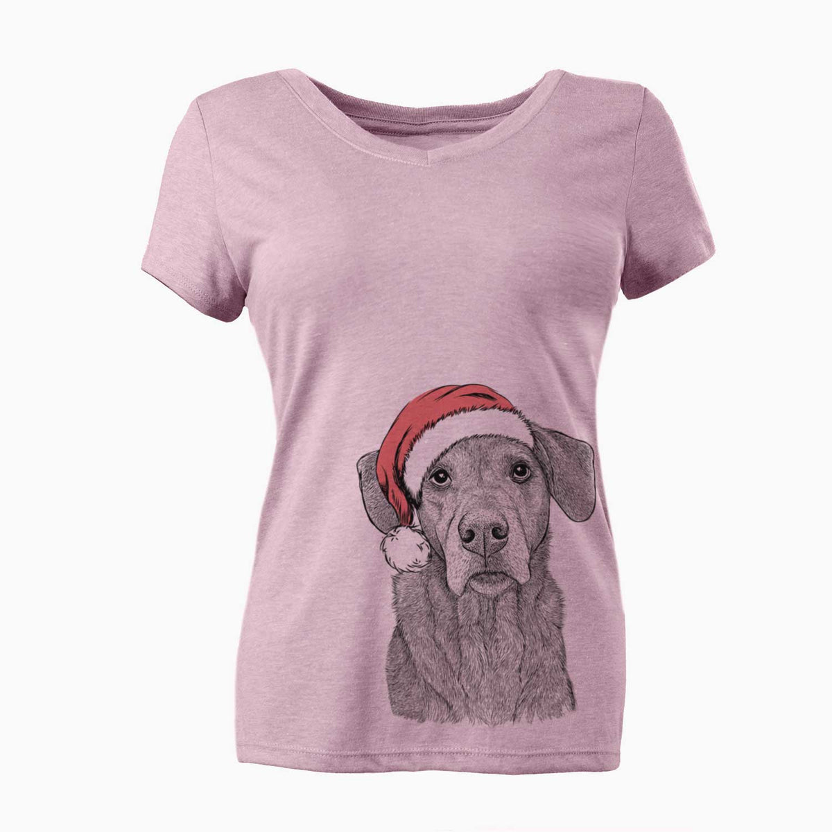 Santa Gravy the Plott Hound Beagle Mix - Women's V-neck Shirt