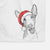 Havok the Ibizan Hound Decorative Hand Towel