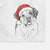 Hook the Saint Bernard Decorative Hand Towel