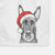 Juno the Belgian Malinois Decorative Hand Towel