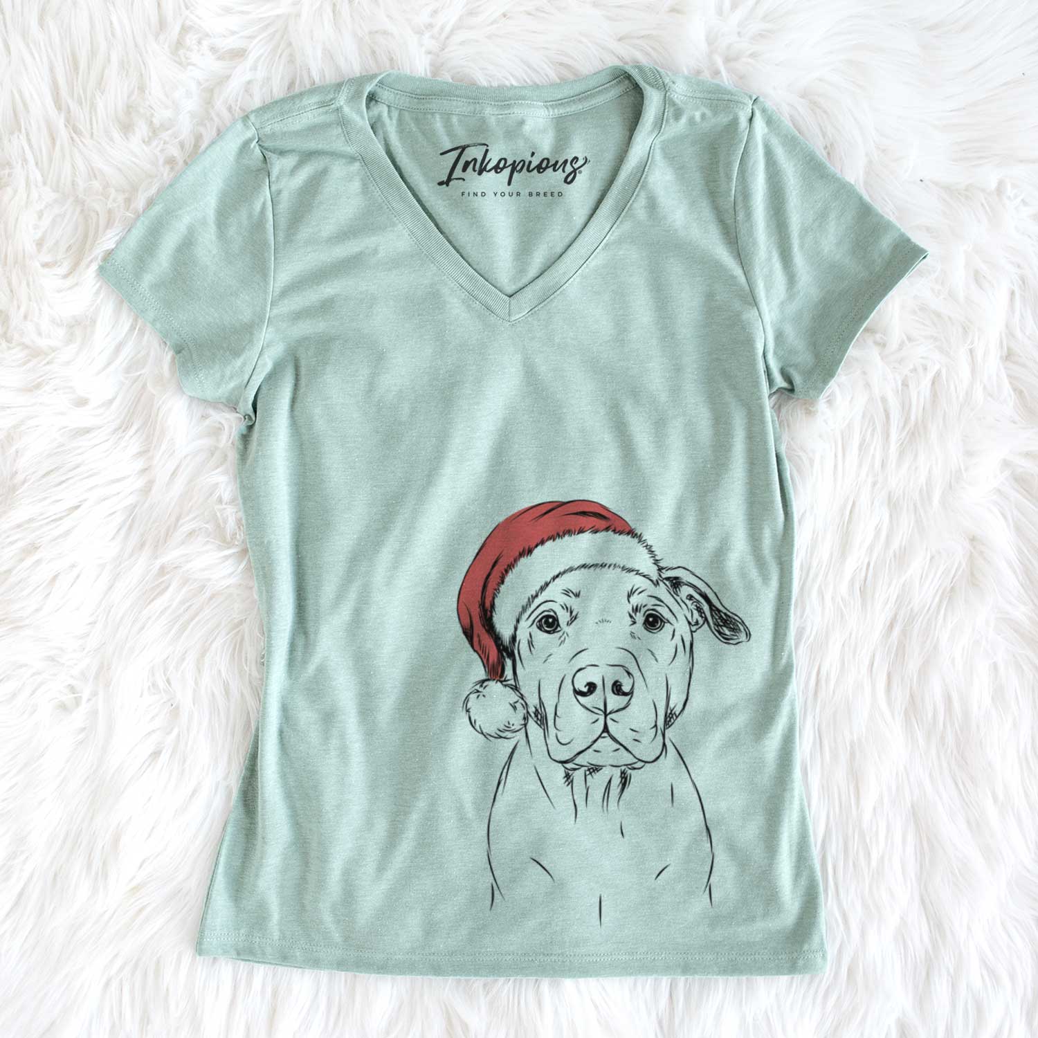 Kadin the Pitbull - Women's V-neck Shirt