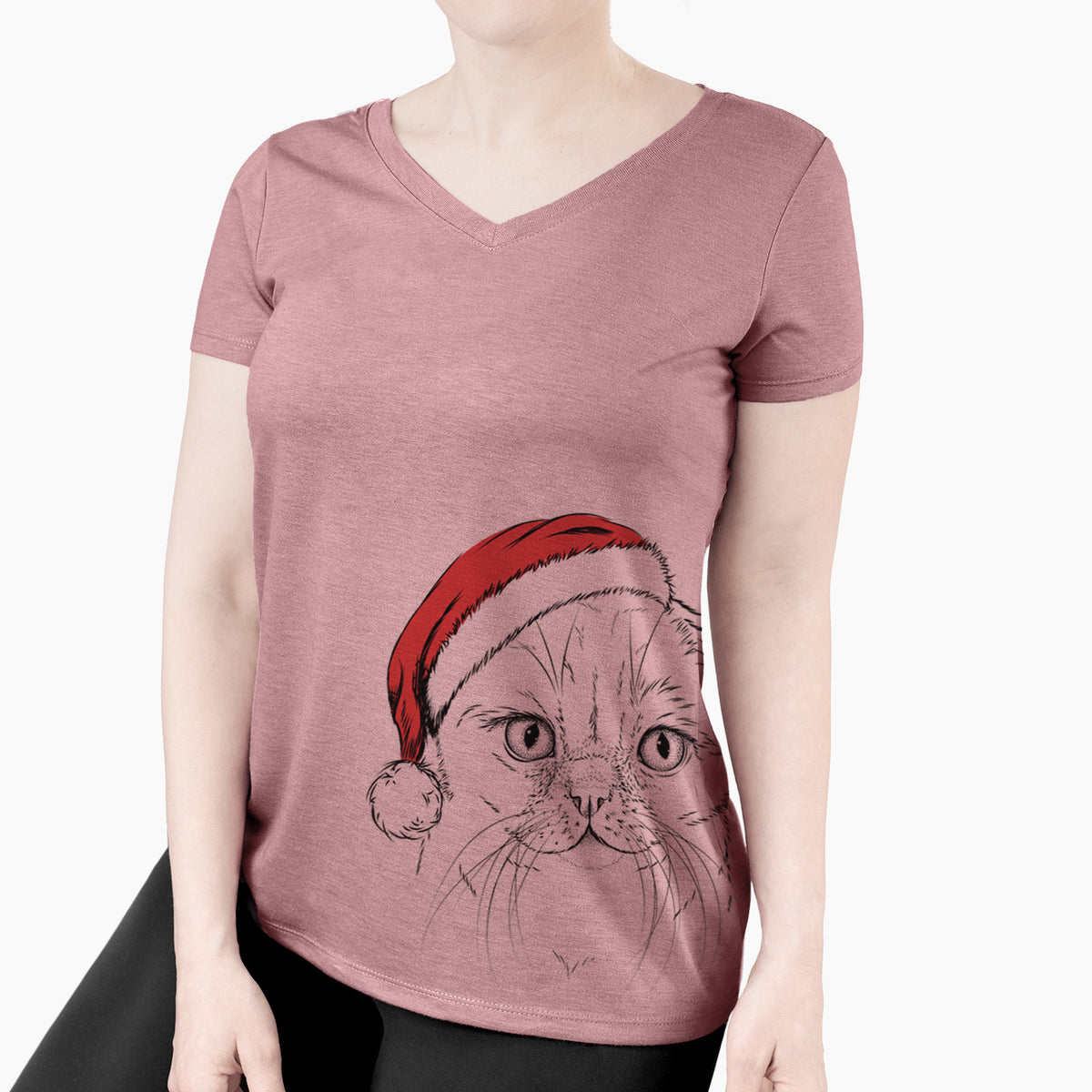 Santa Lina the Exotic Fold Cat - Women's Perfect V-neck Shirt