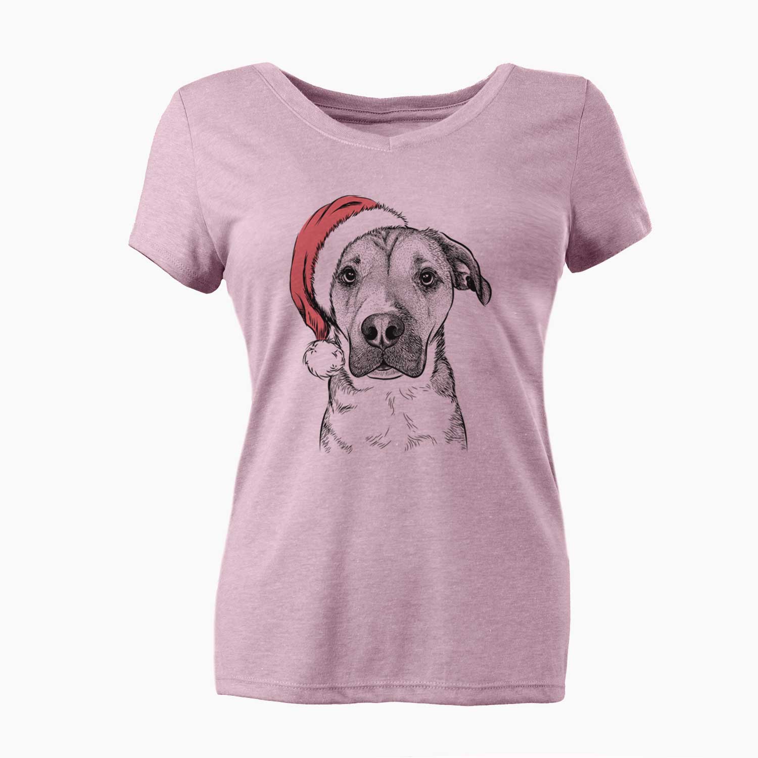Santa Nemo the Mixed Breed - Women's V-neck Shirt