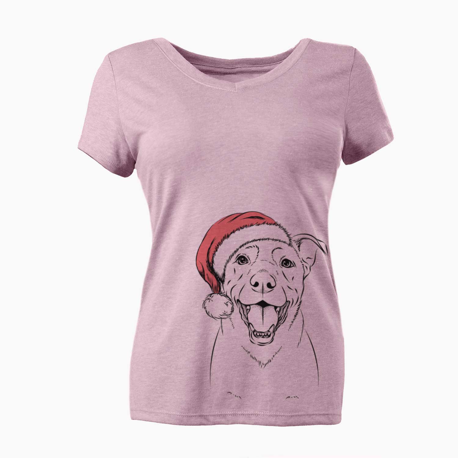 Santa Pele the Lab Mix - Women's V-neck Shirt