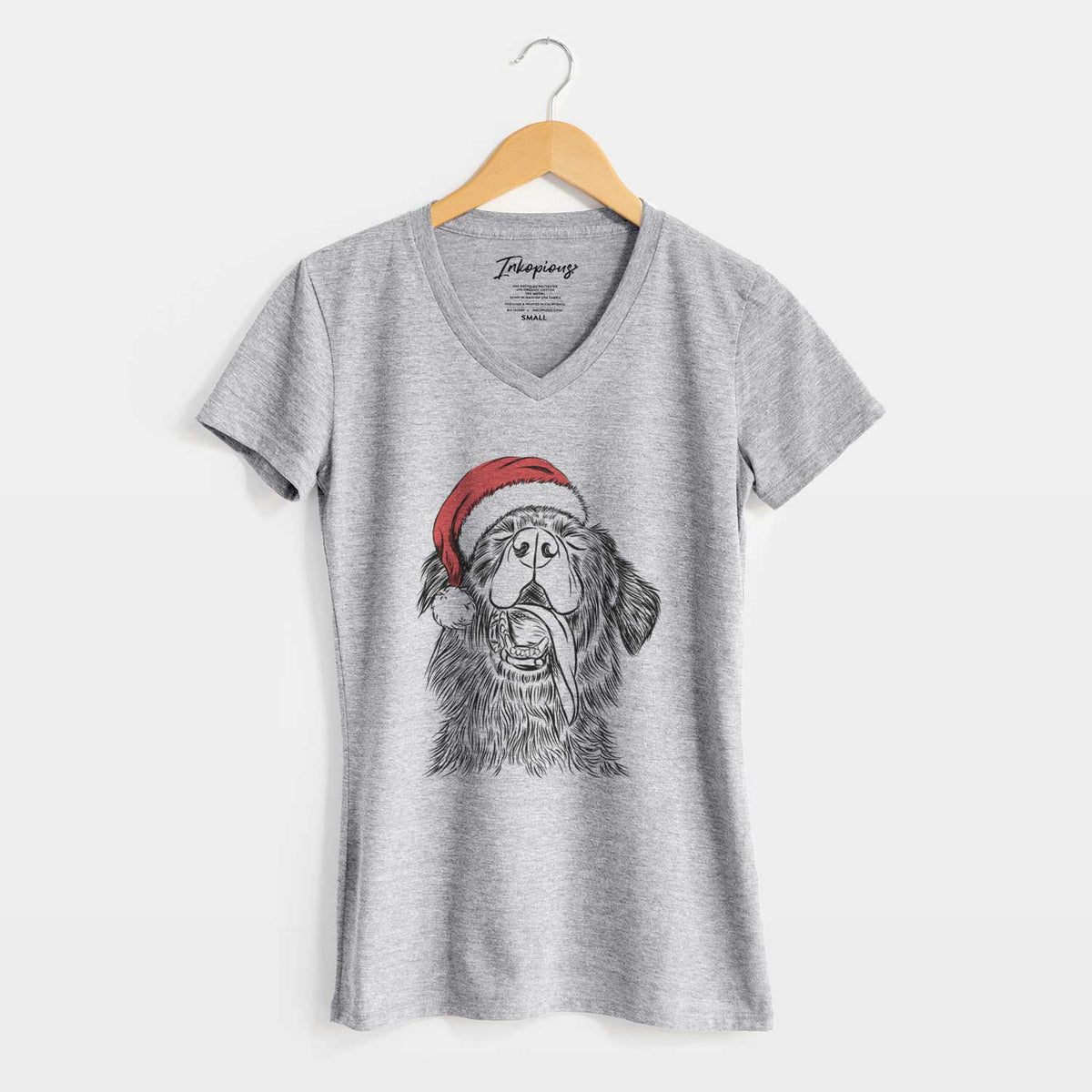 Santa Quint the Mixed Breed - Women's V-neck Shirt