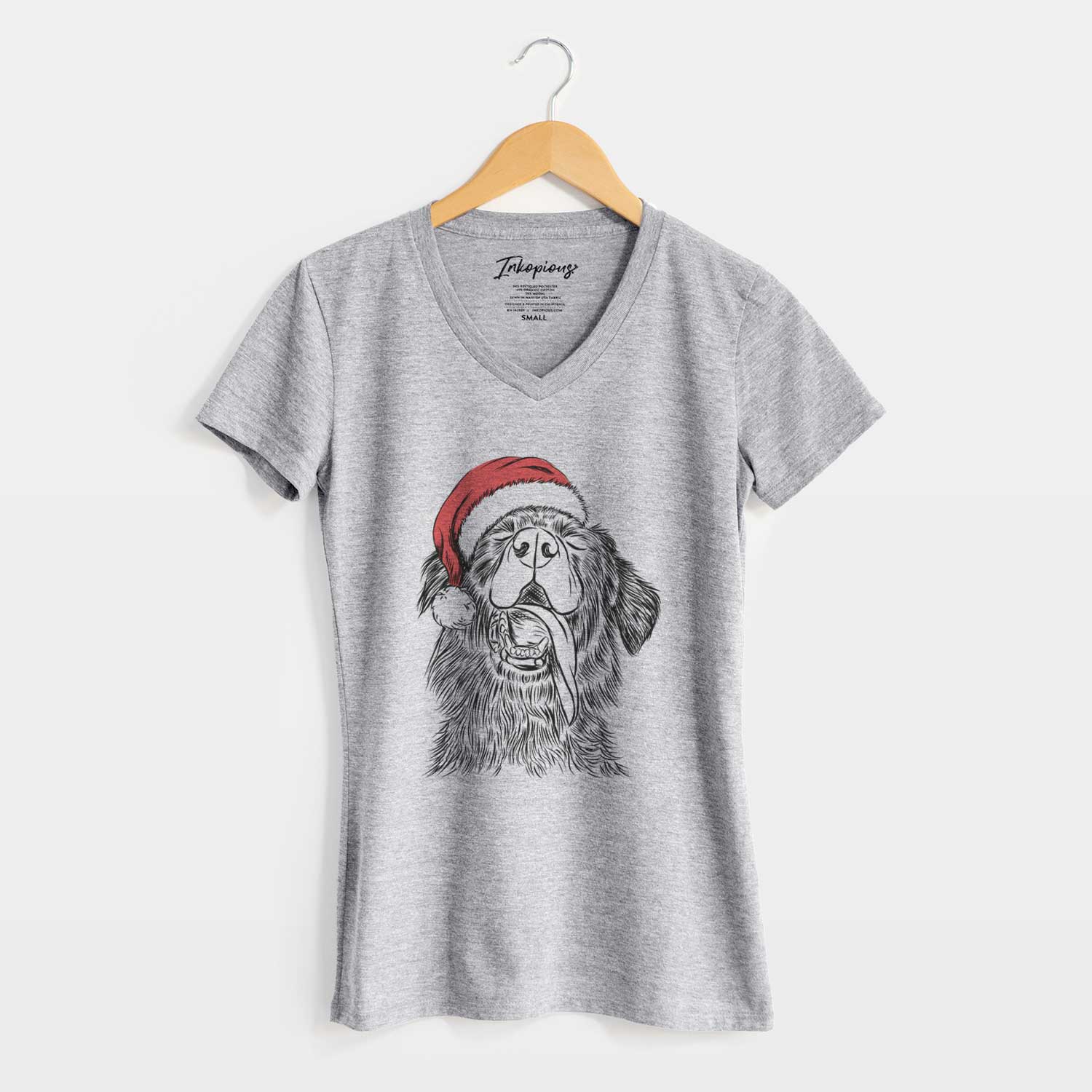 Santa Quint the Mixed Breed - Women's V-neck Shirt