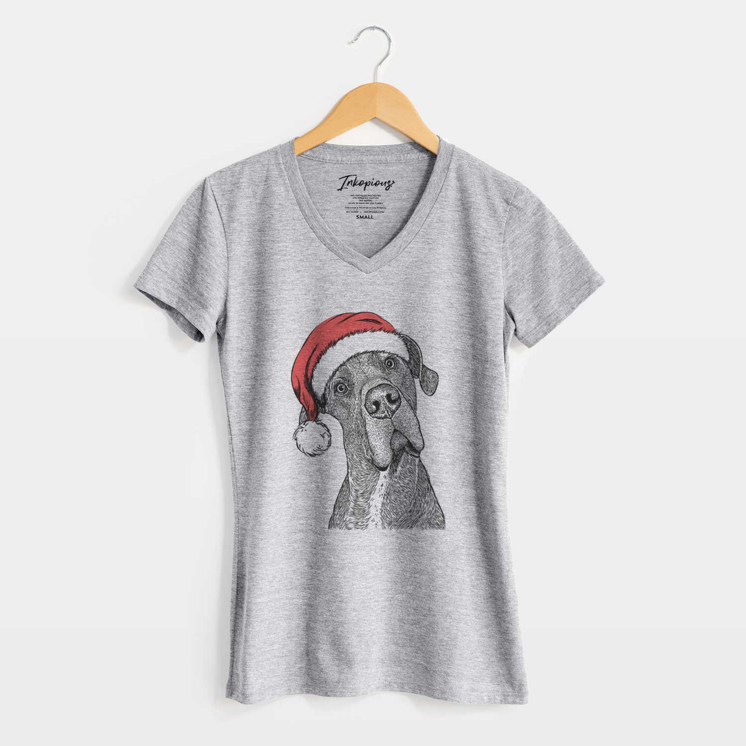 Santa River the Great Dane - Women's V-neck Shirt