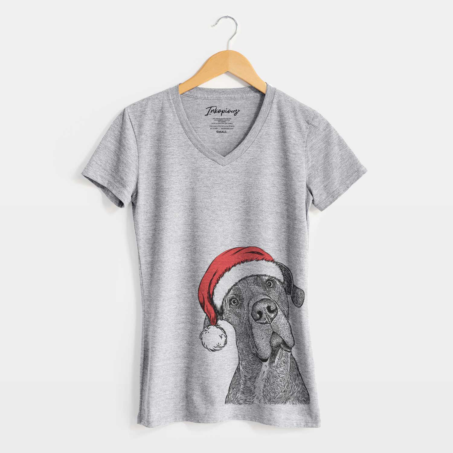 Santa River the Great Dane - Women's V-neck Shirt