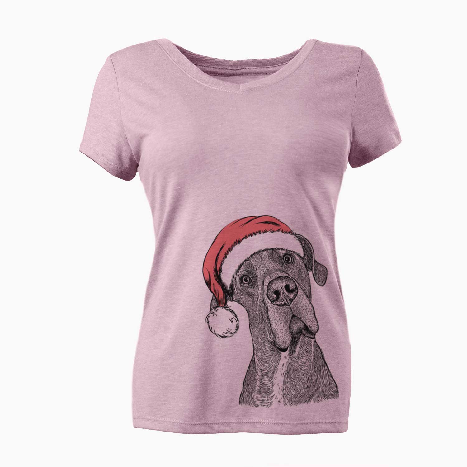 Santa River the Great Dane - Women's V-neck Shirt