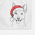 Silly Lilly the Mixed Breed Decorative Hand Towel