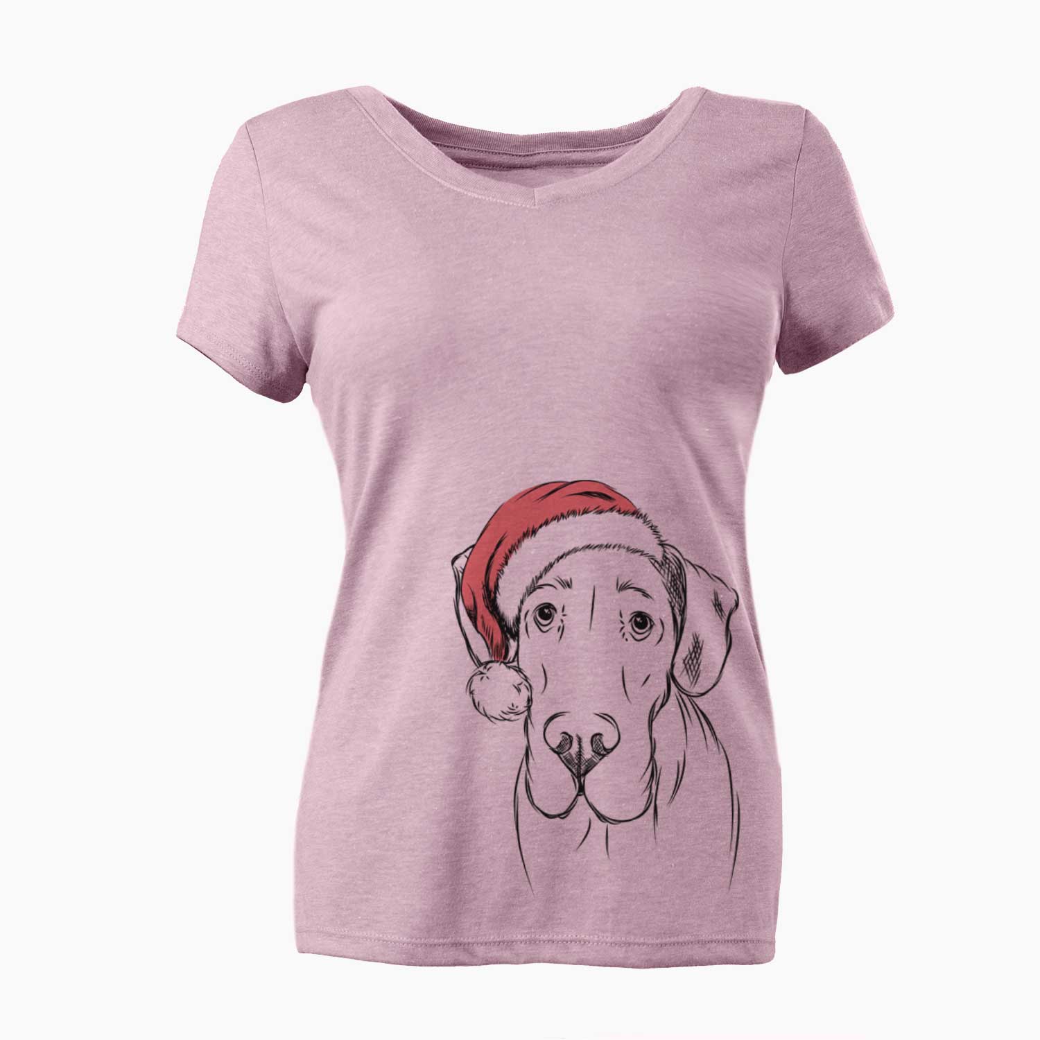 Titus the Great Dane - Women's V-neck Shirt