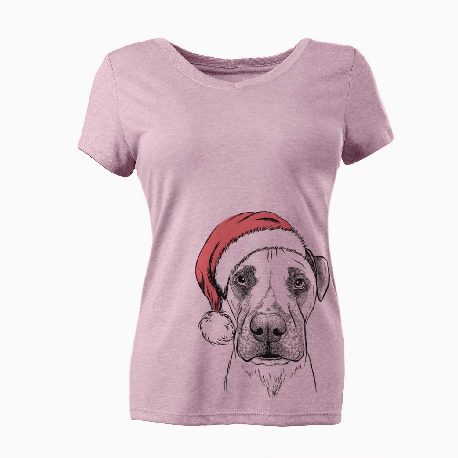 Santa Waylon the Boxane - Women's V-neck Shirt