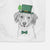 Hercules the Nederlandse Kooikerhondje Decorative Hand Towel