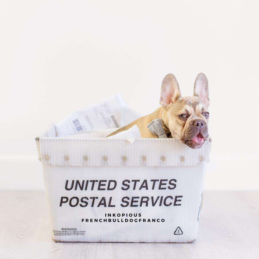Reshipping Fee