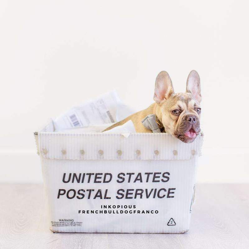 Copy of Fed Ex Shipping Upgrade - $7