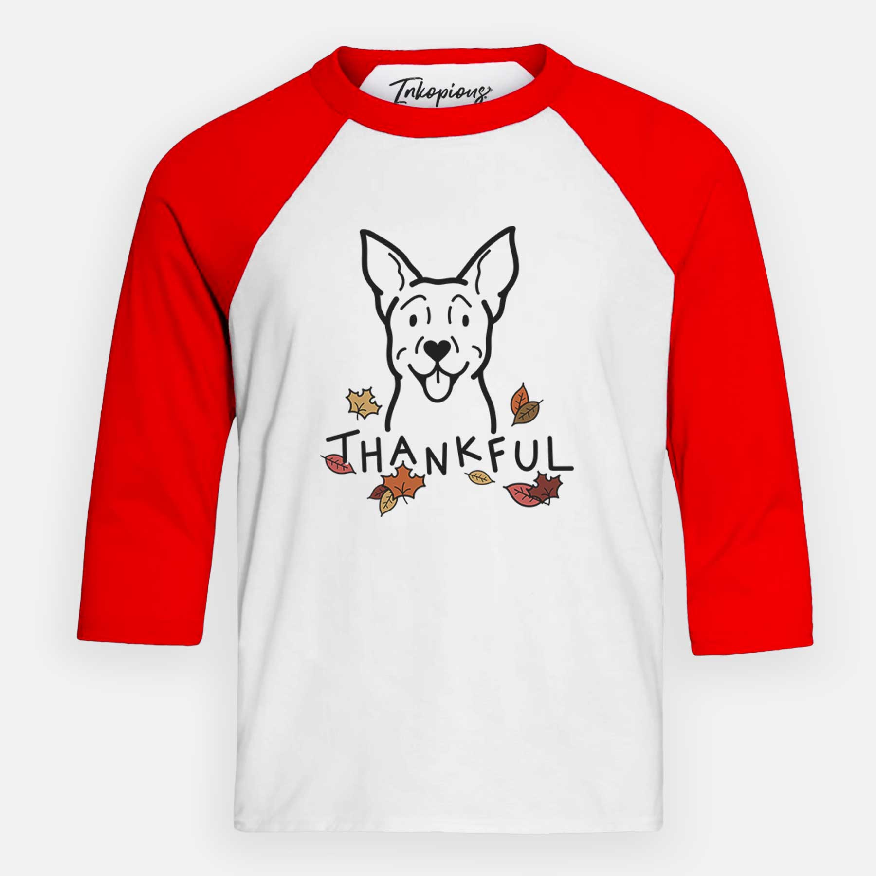 Thankful Carolina Dog - Youth 3/4 Long Sleeve