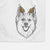 Ari the Icelandic Sheepdog Decorative Hand Towel