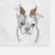 Bandit the Boston Terrier Decorative Hand Towel