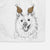 Miki the American Eskimo Decorative Hand Towel