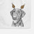 Onyx the Labrador Retriever Decorative Hand Towel