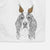 Red the English Springer Spaniel Decorative Hand Towel