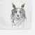 Rutger the Nederlandse Kooikerhondje Decorative Hand Towel