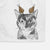 Spooky Kitty the Tortoiseshell Cat Decorative Hand Towel