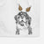 Theo the Bernese Mountain Dog Decorative Hand Towel