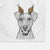 Willow the German Pinscher Decorative Hand Towel