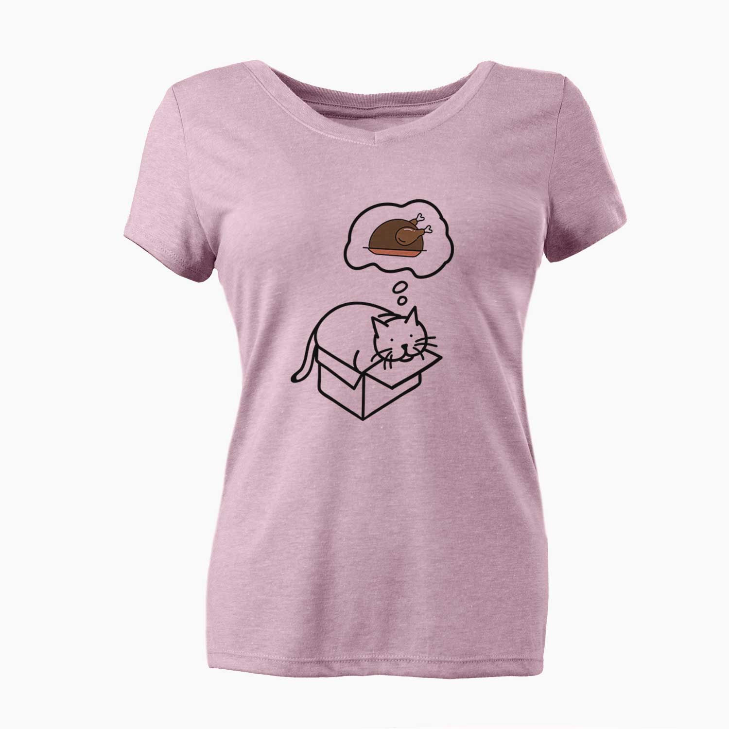 Turkey Thoughts Cat in a Box - Charlie - Women's V-neck Shirt