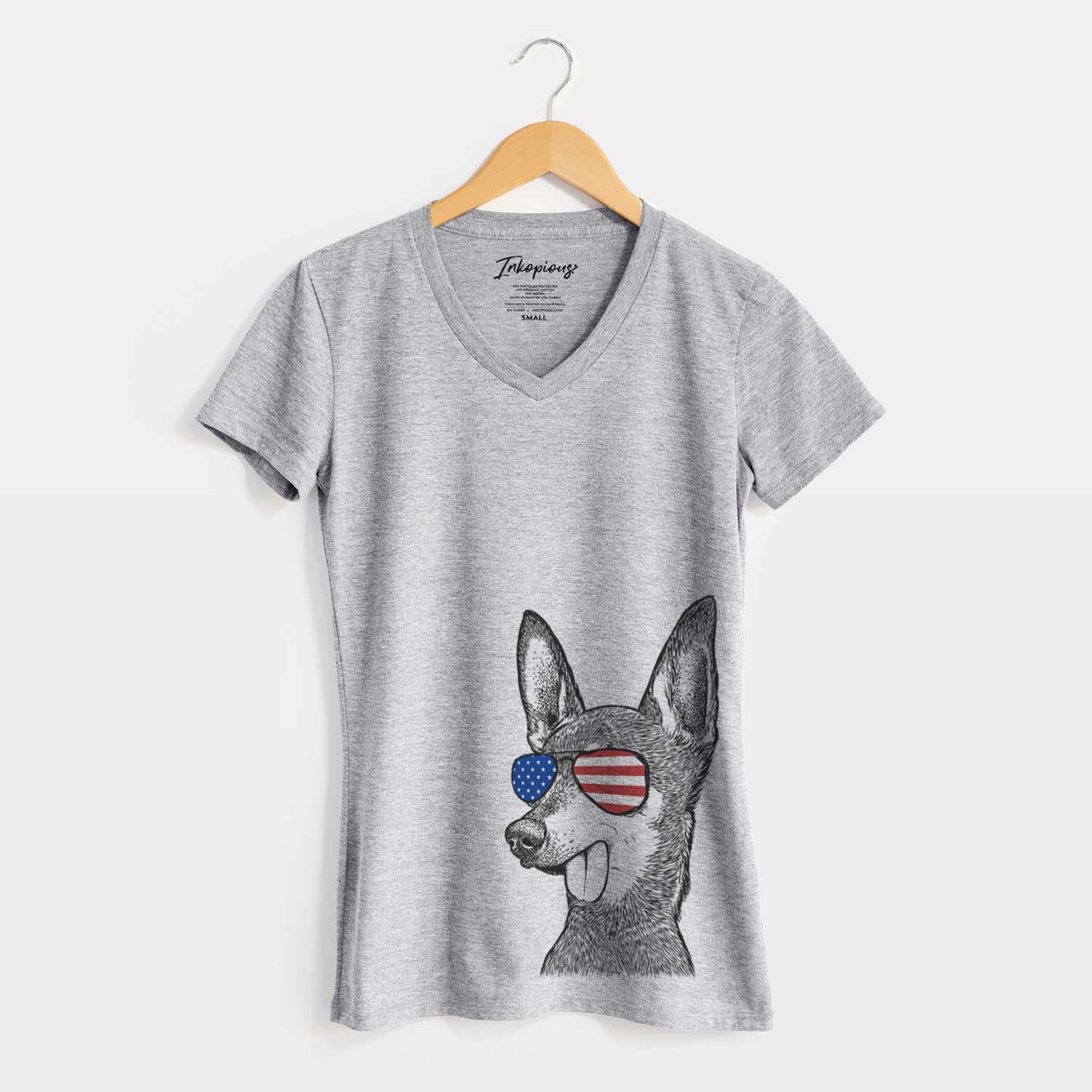 USA Aaron the Chihuahua - Women's Perfect V-neck Shirt