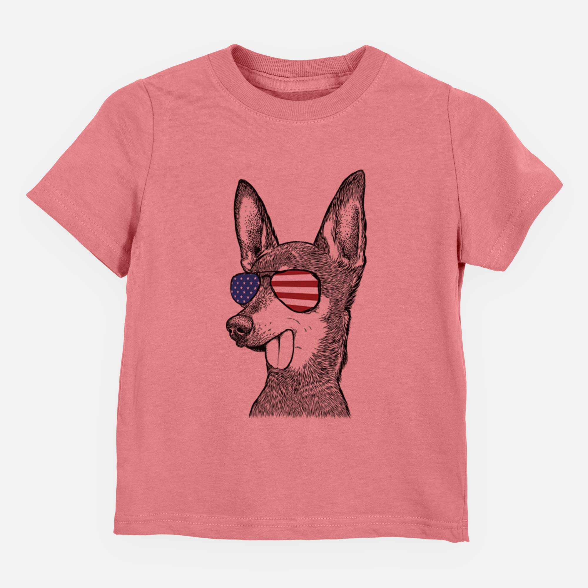 USA Aaron the Chihuahua - Kids/Youth/Toddler Shirt