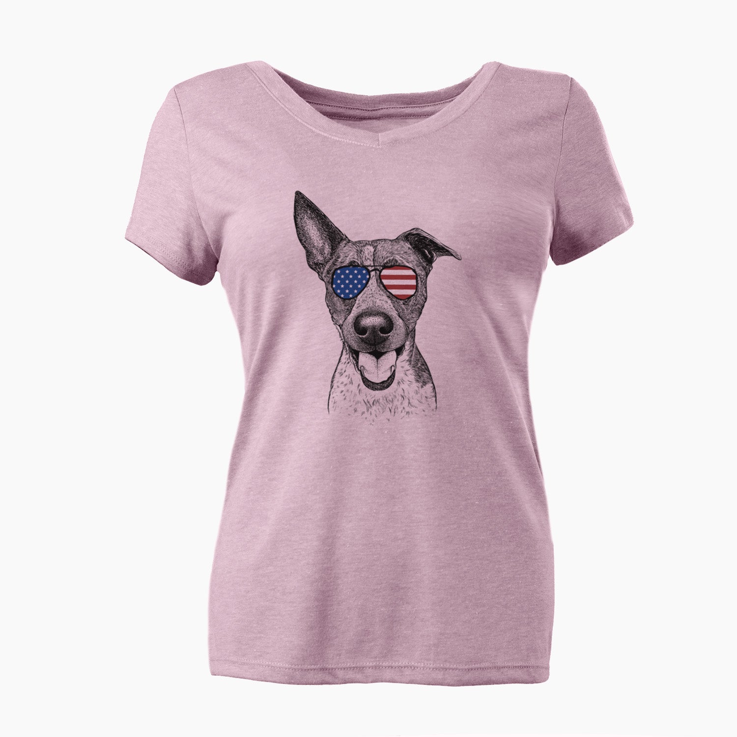 USA Amigo the Heeler Mix - Women's Perfect V-neck Shirt