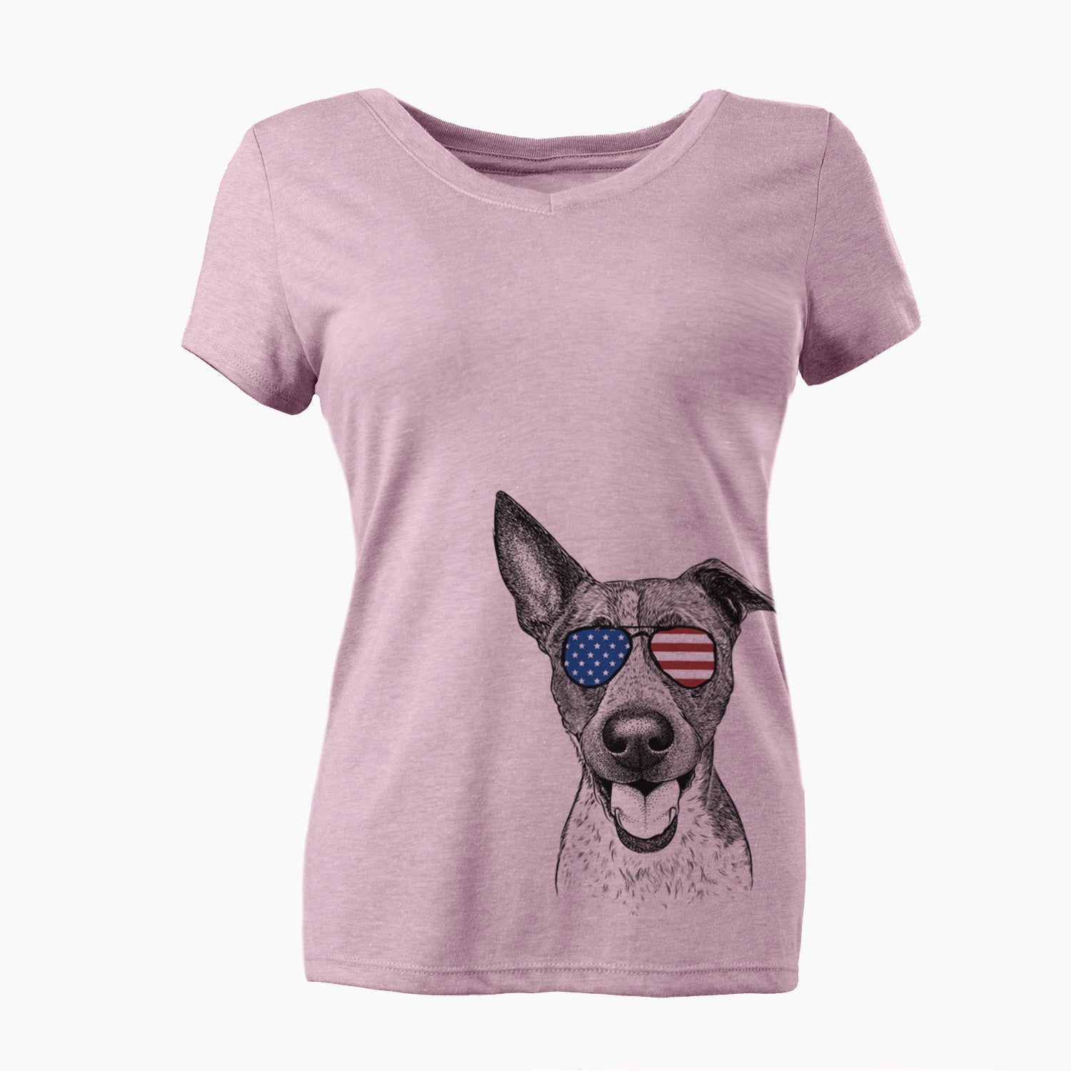 USA Amigo the Heeler Mix - Women's Perfect V-neck Shirt