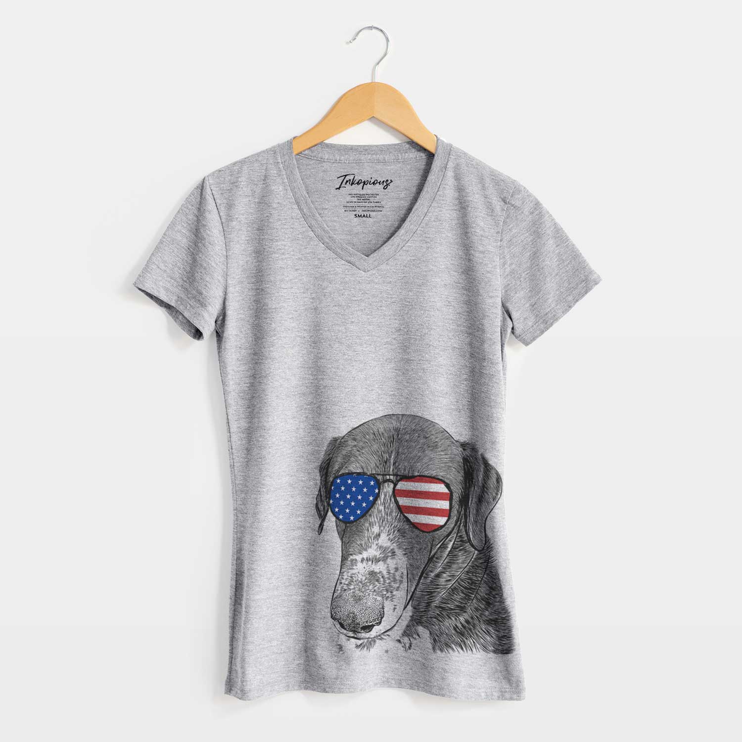 USA Angel Orion the Mixed Breed - Women's Perfect V-neck Shirt