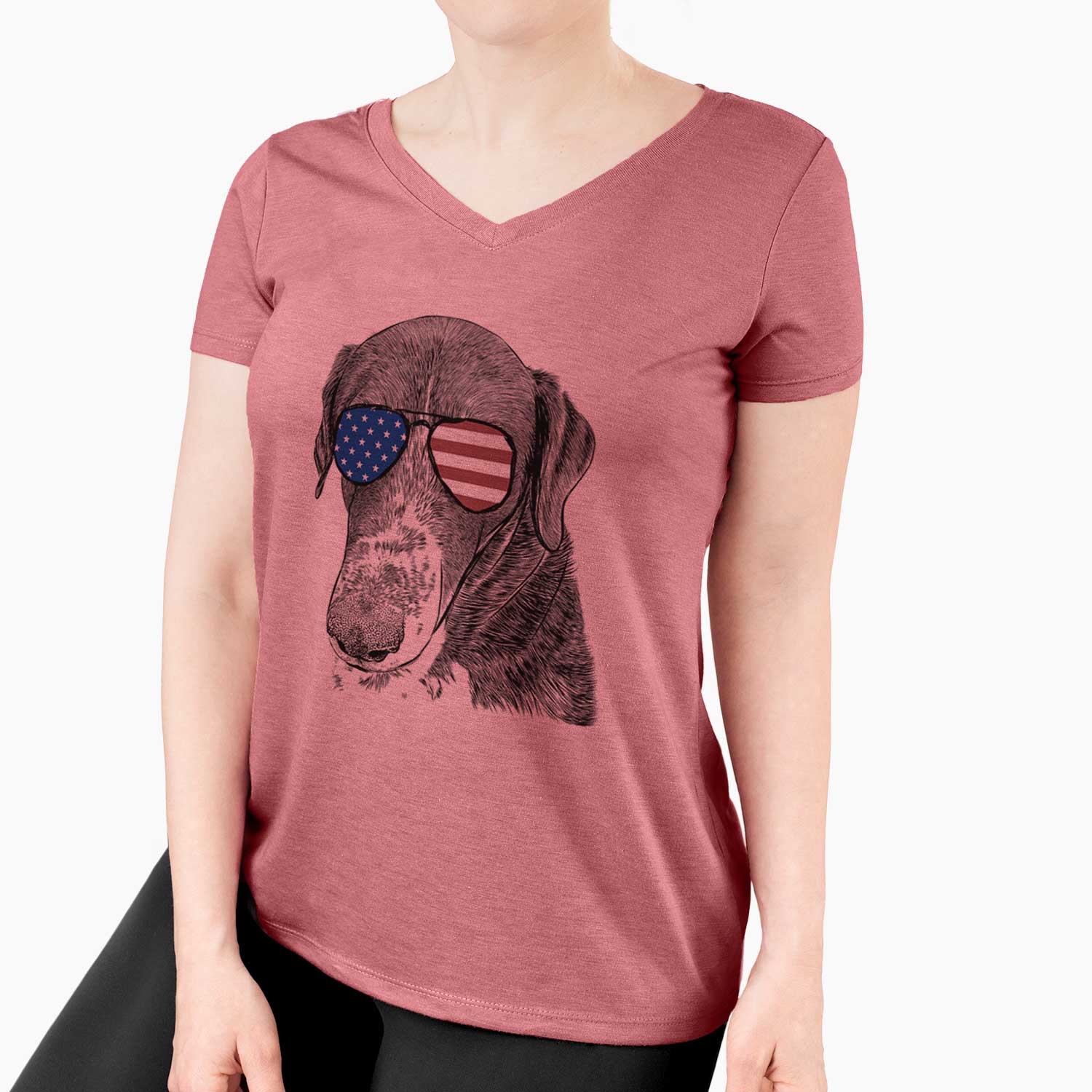 USA Angel Orion the Mixed Breed - Women's Perfect V-neck Shirt