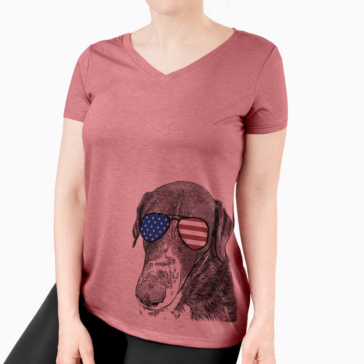 USA Angel Orion the Mixed Breed - Women's Perfect V-neck Shirt