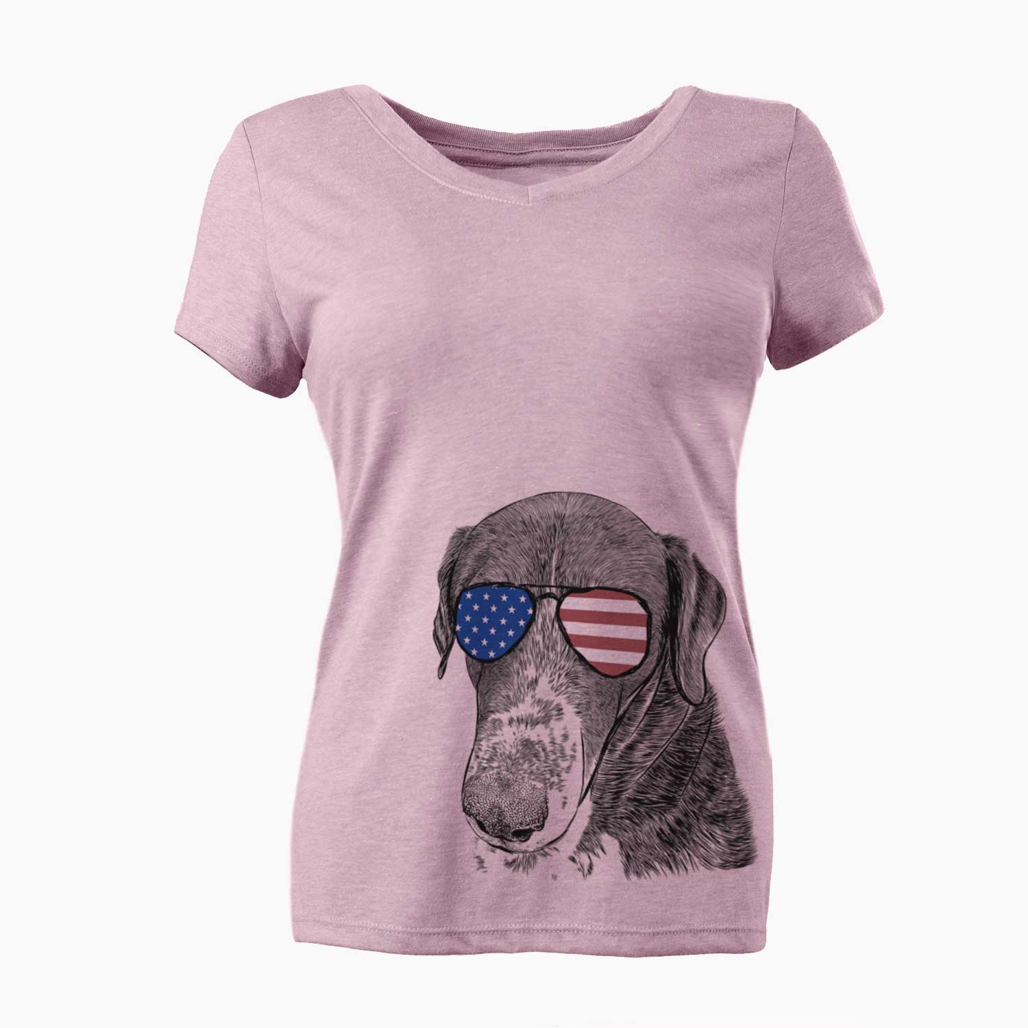 USA Angel Orion the Mixed Breed - Women's Perfect V-neck Shirt