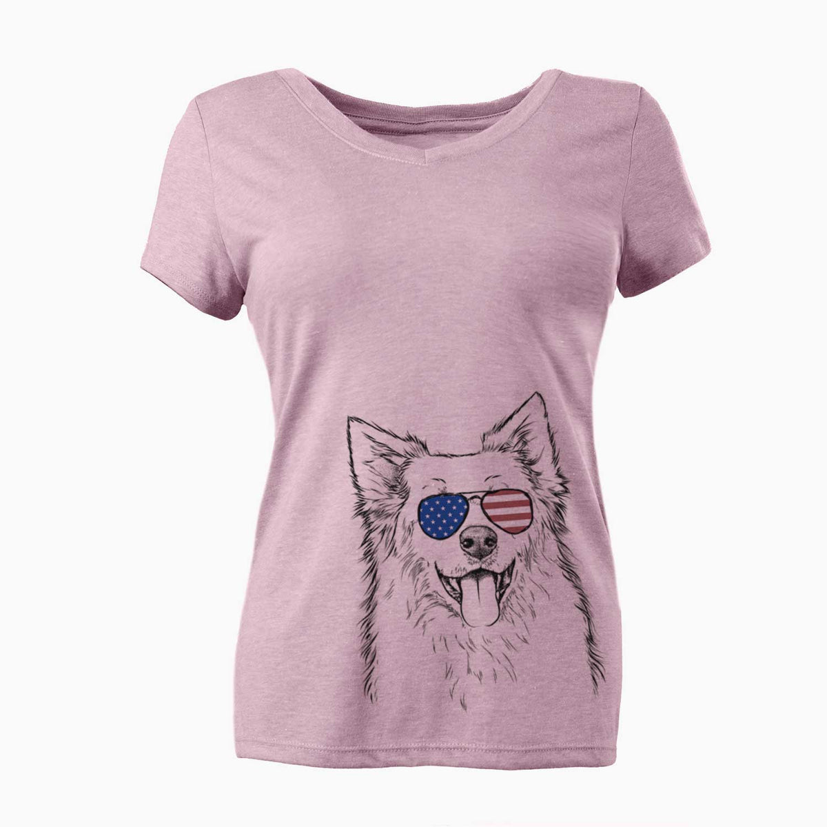 USA Aspenita the Mixed Breed - Women's Perfect V-neck Shirt