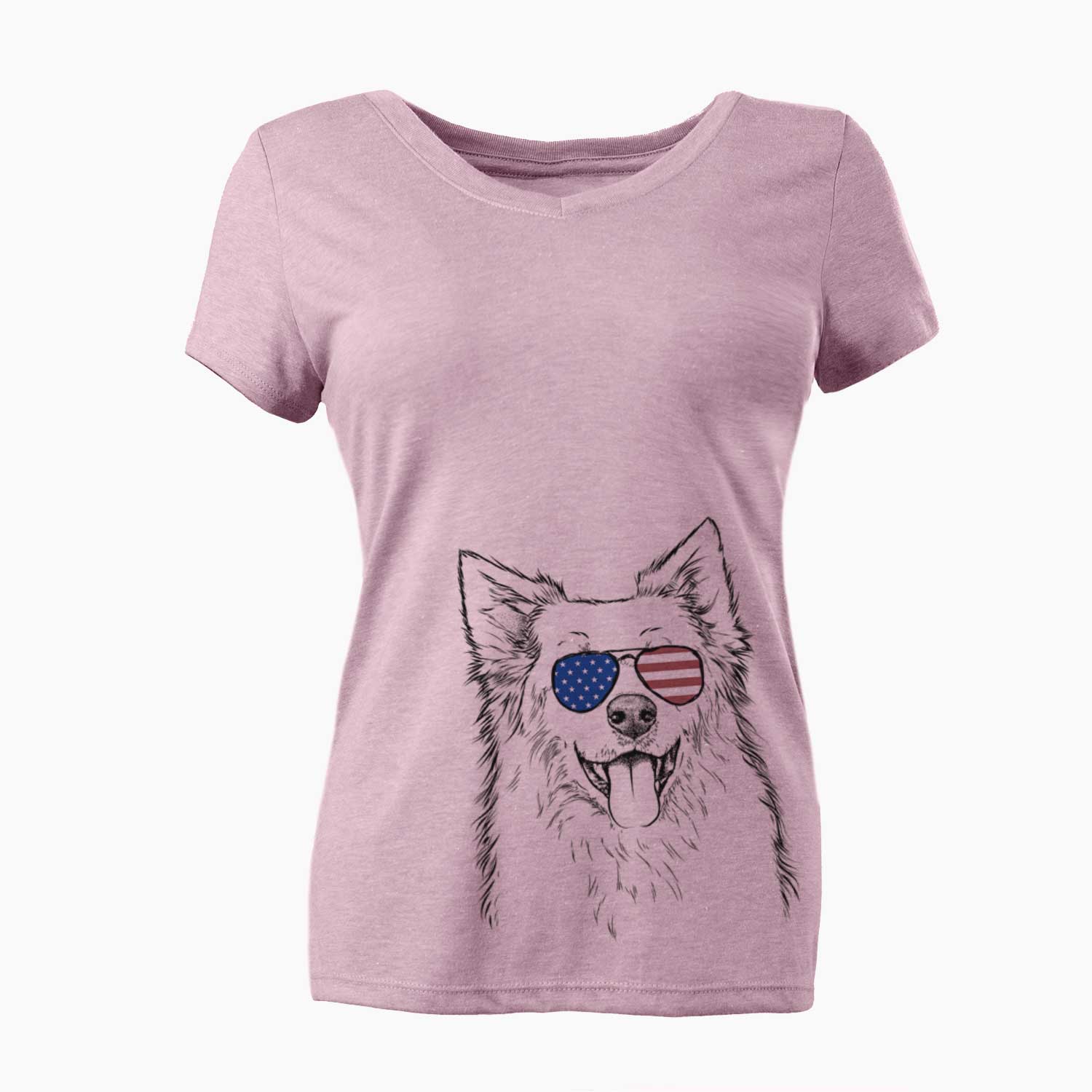 USA Aspenita the Mixed Breed - Women's Perfect V-neck Shirt