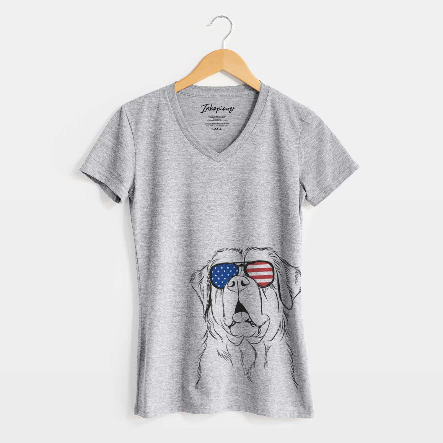 USA Atlas the Saint Bernard - Women's Perfect V-neck Shirt