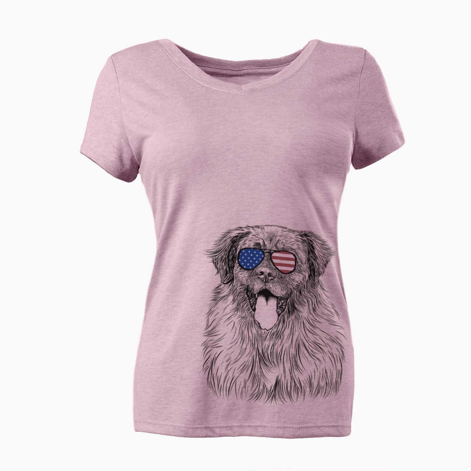 USA Bamboo the Leonberger - Women's Perfect V-neck Shirt