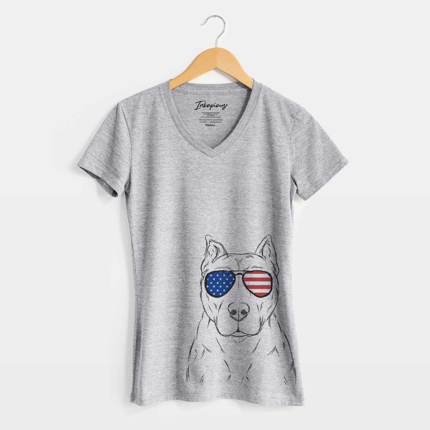 USA Bane the Pitbull Mix - Women's Perfect V-neck Shirt